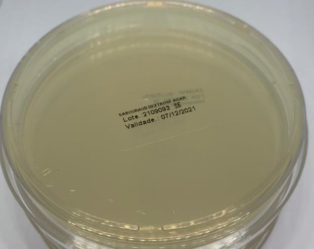 Sabouraud Dextrose Agar 
